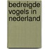 Bedreigde vogels in Nederland
