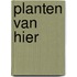 Planten van hier