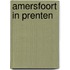 Amersfoort in prenten