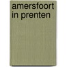 Amersfoort in prenten by Cees Van Leeuwen