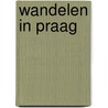 Wandelen in Praag door Albert Gielen