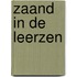Zaand in de leerzen