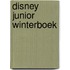 Disney junior Winterboek