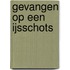 Gevangen op een ijsschots