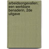 Arbeidsongevallen: een werkbare benaderin, 2de uitgave door Myriam Van der Steen