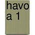 havo A 1