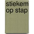 Stiekem op stap