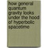 How General Quantum Gravity looks under the hood of hyperbolic spacetime