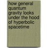 How General Quantum Gravity looks under the hood of hyperbolic spacetime door Koenraad M.L.L. van Spaendonck