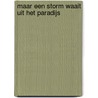 Maar een storm waait uit het paradijs door Walter Benjamin