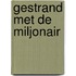 Gestrand met de miljonair