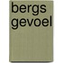 Bergs gevoel