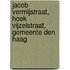 Jacob Vermijstraat, hoek Vijzelstraat, gemeente Den Haag