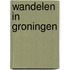 Wandelen in Groningen