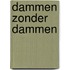 Dammen zonder dammen