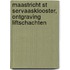 Maastricht St Servaasklooster, ontgraving liftschachten