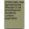Onderzoek naar genotoxische effecten in de Amerikaanse hondsvis (Umbra pygmaea) door Wim Hoogenboezem