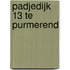Padjedijk 13 te Purmerend