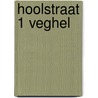 Hoolstraat 1 Veghel by R.M. van der Zee