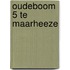 Oudeboom 5 te Maarheeze