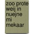 Zoo prote weij in Nuejne mi mekaar