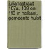 Julianastraat 107a, 109 en 113 in Heikant, gemeente Hulst