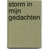 Storm in mijn gedachten