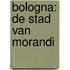 Bologna: de stad van Morandi