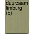 Duurzaam Limburg (B)