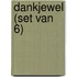 Dankjewel (set van 6)