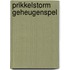 Prikkelstorm geheugenspel