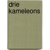 Drie kameleons by Frank van Rijn