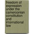 Freedom of Expression under the Cameroonian Constitution and International Law