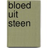 Bloed uit Steen by Bram Verhoeff