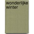 Wonderlijke winter