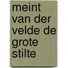 Meint van der Velde De grote stilte door Dirk Van Ginkel