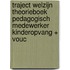Traject Welzijn Theorieboek Pedagogisch medewerker kinderopvang + vouc