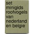 Set Minigids Roofvogels van Nederland en Belgie