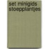 Set Minigids Stoepplantjes