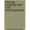 Beknopt burgerlijk recht voor welzijnswerkers door Jan Fiers