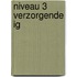 Niveau 3 verzorgende IG