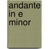 Andante in E minor