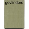 Gevlinderd door Alexander Olbrechts