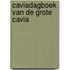 Caviadagboek van De Grote Cavia