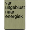 Van uitgeblust naar energiek door Annita Rogier