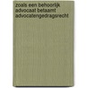 Zoals een behoorlijk advocaat betaamt Advocatengedragsrecht door F.A.W. Bannier