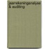 Jaarrekeninganalyse & auditing