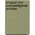 Omgaan met overweldigende emoties