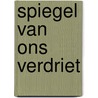 Spiegel van ons verdriet by Pierre Lemaitre