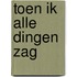 Toen ik alle dingen zag